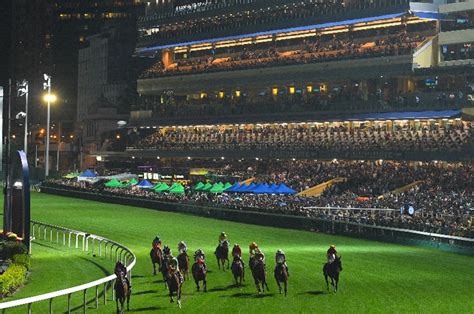 happy valley racing tips today|south china morning post tips.